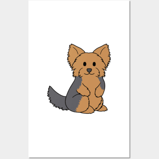 Yorkshire Terrier Posters and Art